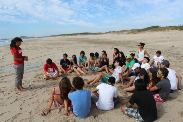  Strandspaziergang 